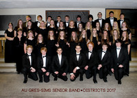 Senior Band 2016-17