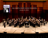 AGS BAND Michigan Music Conference 2018