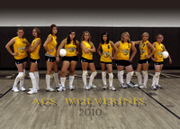 AGS Volleyball 2010