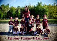 Twining-Turner